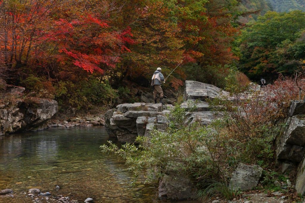 pêche rivière premiere catégorie