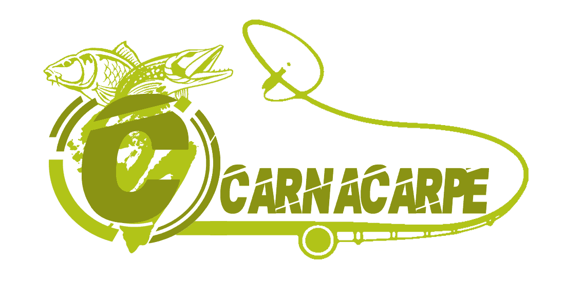 Les 10 leurres incontournables pour la pêche des carnassiers - Carnacarpe -  Pêche de la carpe et des carnassiers