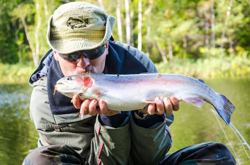 meilleures périodes pour pêcher la truite